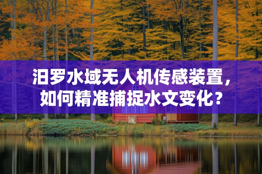 汨罗水域无人机传感装置，如何精准捕捉水文变化？
