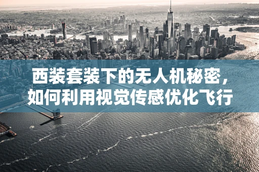 西装套装下的无人机秘密，如何利用视觉传感优化飞行安全？