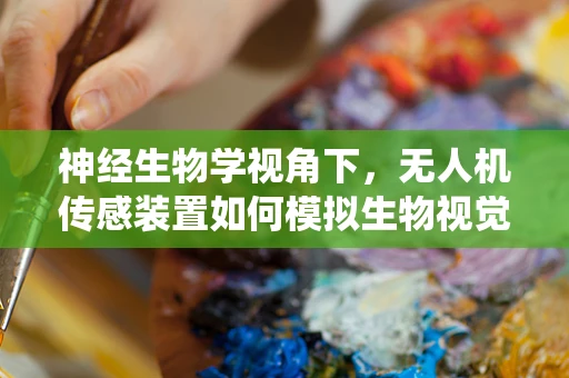 神经生物学视角下，无人机传感装置如何模拟生物视觉系统？