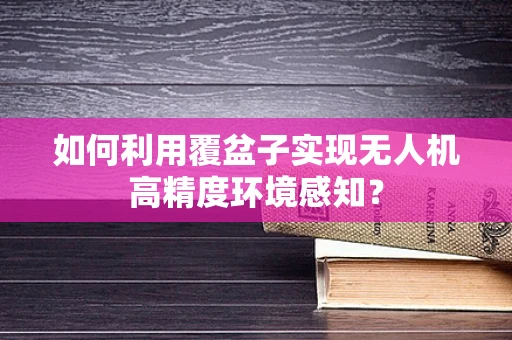 如何利用覆盆子实现无人机高精度环境感知？