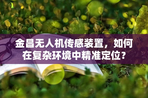 金昌无人机传感装置，如何在复杂环境中精准定位？