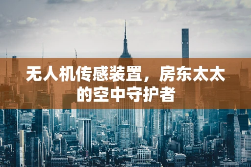 无人机传感装置，房东太太的空中守护者