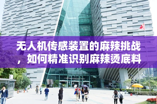 无人机传感装置的麻辣挑战，如何精准识别麻辣烫底料的独特气味？