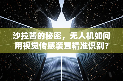 沙拉酱的秘密，无人机如何用视觉传感装置精准识别？