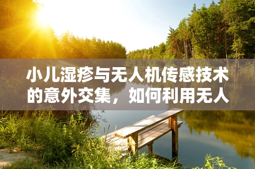 小儿湿疹与无人机传感技术的意外交集，如何利用无人机监测环境因素以预防儿童皮肤病？