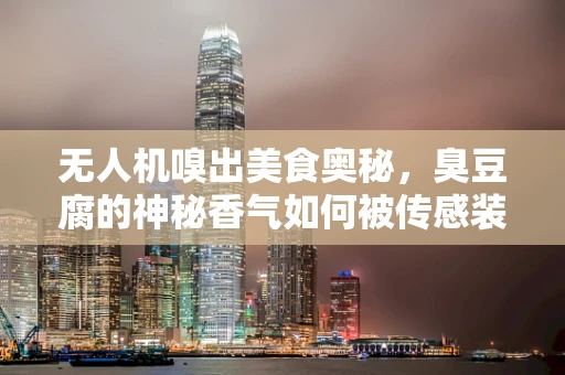 无人机嗅出美食奥秘，臭豆腐的神秘香气如何被传感装置捕捉？