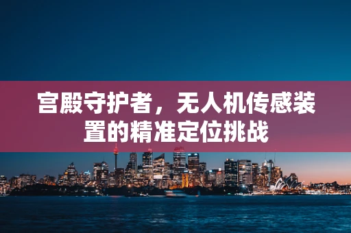 宫殿守护者，无人机传感装置的精准定位挑战