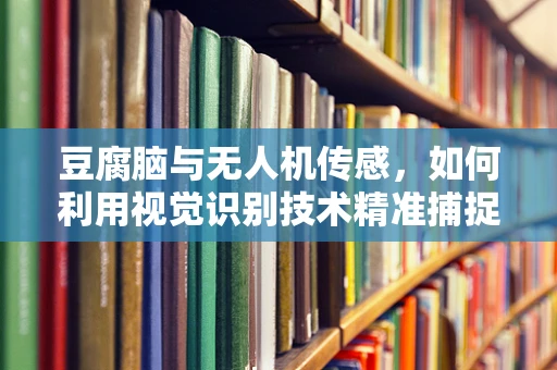 豆腐脑与无人机传感，如何利用视觉识别技术精准捕捉早餐美味？
