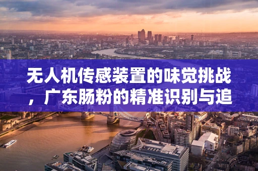 无人机传感装置的味觉挑战，广东肠粉的精准识别与追踪