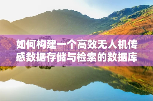 如何构建一个高效无人机传感数据存储与检索的数据库系统？