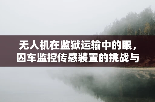 无人机在监狱运输中的眼，囚车监控传感装置的挑战与解决方案