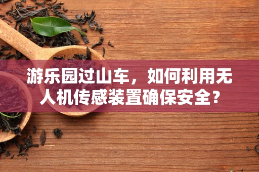 游乐园过山车，如何利用无人机传感装置确保安全？