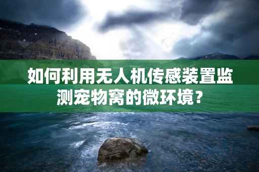如何利用无人机传感装置监测宠物窝的微环境？