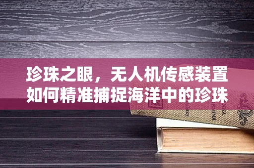 珍珠之眼，无人机传感装置如何精准捕捉海洋中的珍珠？