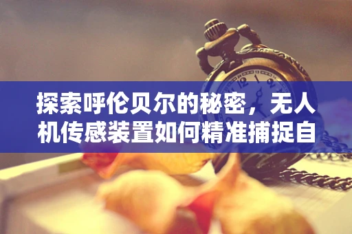 探索呼伦贝尔的秘密，无人机传感装置如何精准捕捉自然奇观？
