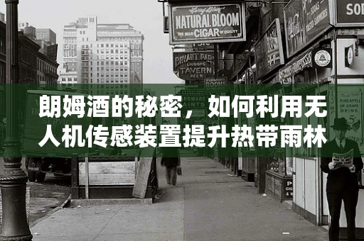 朗姆酒的秘密，如何利用无人机传感装置提升热带雨林监测的精确度？