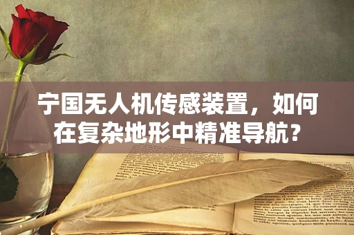 宁国无人机传感装置，如何在复杂地形中精准导航？