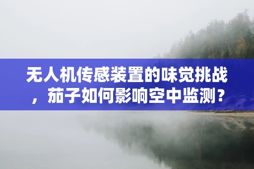 无人机传感装置的味觉挑战，茄子如何影响空中监测？