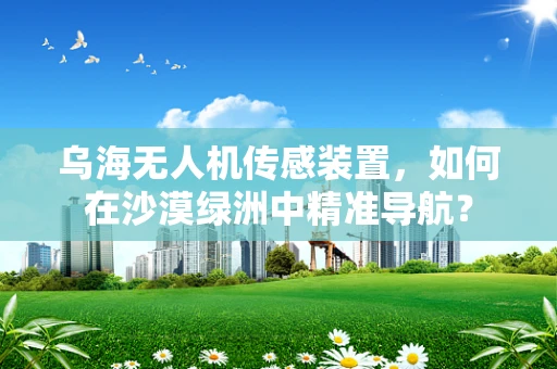 乌海无人机传感装置，如何在沙漠绿洲中精准导航？