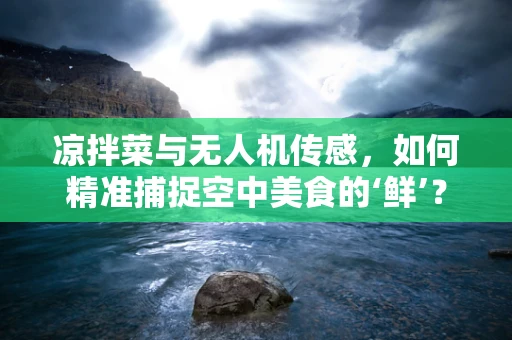 凉拌菜与无人机传感，如何精准捕捉空中美食的‘鲜’？