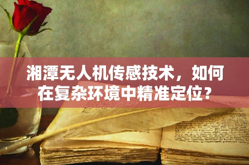 湘潭无人机传感技术，如何在复杂环境中精准定位？