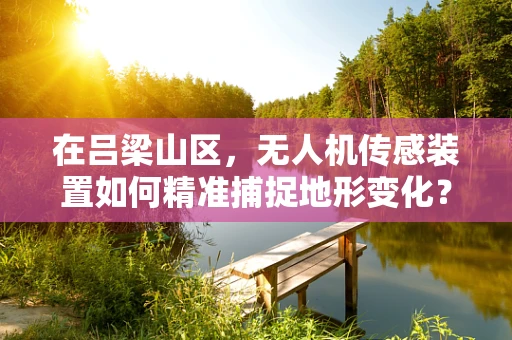 在吕梁山区，无人机传感装置如何精准捕捉地形变化？