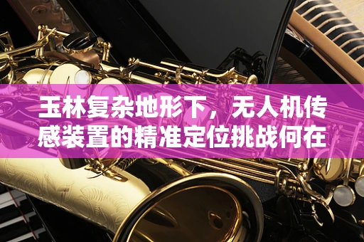 玉林复杂地形下，无人机传感装置的精准定位挑战何在？