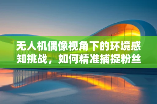 无人机偶像视角下的环境感知挑战，如何精准捕捉粉丝情感？