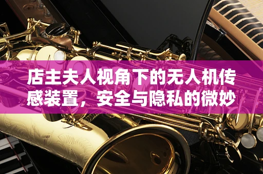 店主夫人视角下的无人机传感装置，安全与隐私的微妙平衡