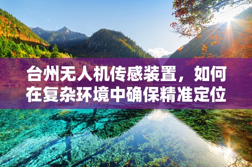 台州无人机传感装置，如何在复杂环境中确保精准定位？