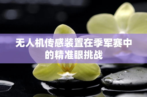 无人机传感装置在季军赛中的精准眼挑战