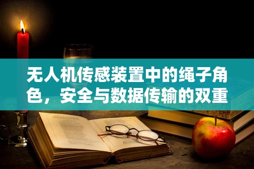 无人机传感装置中的绳子角色，安全与数据传输的双重挑战