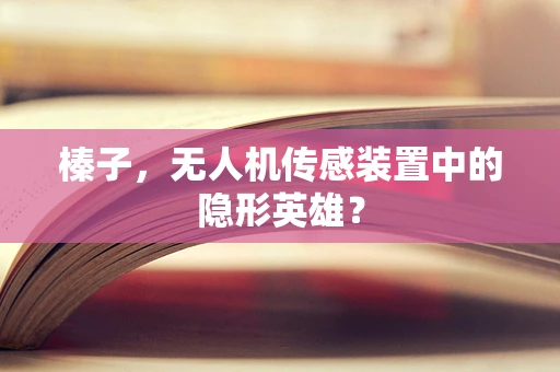 榛子，无人机传感装置中的隐形英雄？