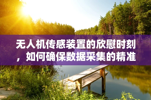 无人机传感装置的欣慰时刻，如何确保数据采集的精准与安全？