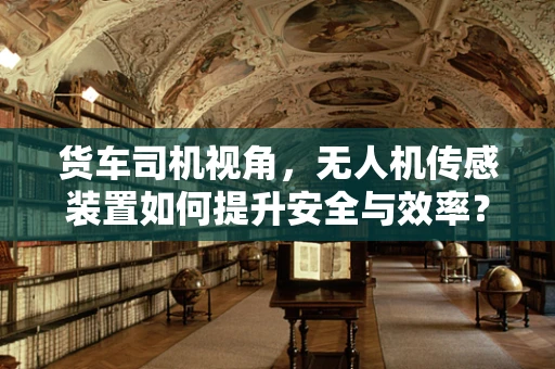 货车司机视角，无人机传感装置如何提升安全与效率？