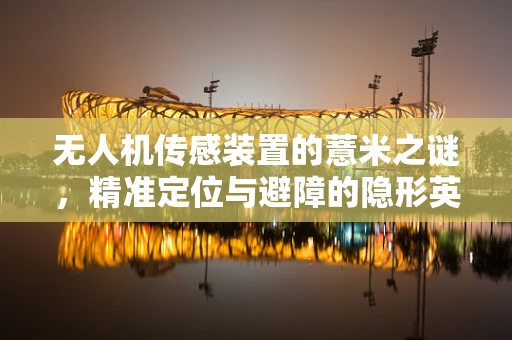 无人机传感装置的薏米之谜，精准定位与避障的隐形英雄？