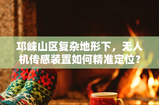 邛崃山区复杂地形下，无人机传感装置如何精准定位？