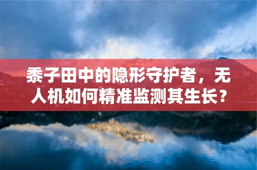 黍子田中的隐形守护者，无人机如何精准监测其生长？