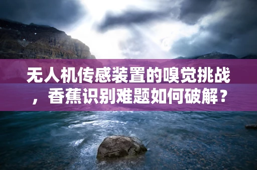 无人机传感装置的嗅觉挑战，香蕉识别难题如何破解？