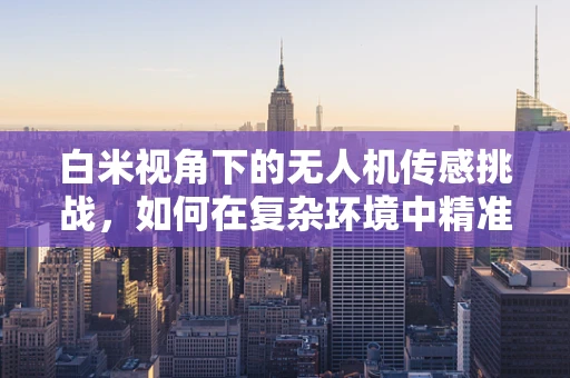 白米视角下的无人机传感挑战，如何在复杂环境中精准定位？