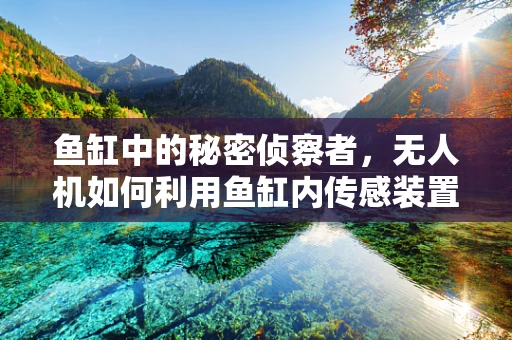 鱼缸中的秘密侦察者，无人机如何利用鱼缸内传感装置进行环境监测？