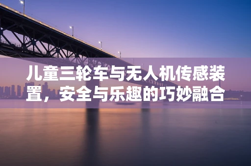 儿童三轮车与无人机传感装置，安全与乐趣的巧妙融合？