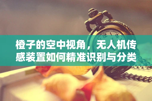 橙子的空中视角，无人机传感装置如何精准识别与分类？