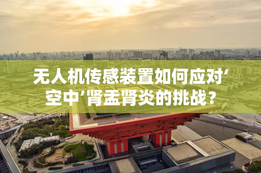 无人机传感装置如何应对‘空中’肾盂肾炎的挑战？