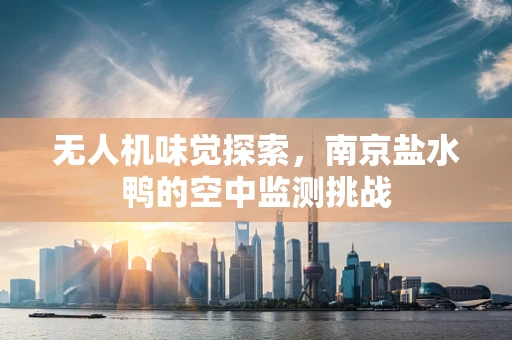 无人机味觉探索，南京盐水鸭的空中监测挑战