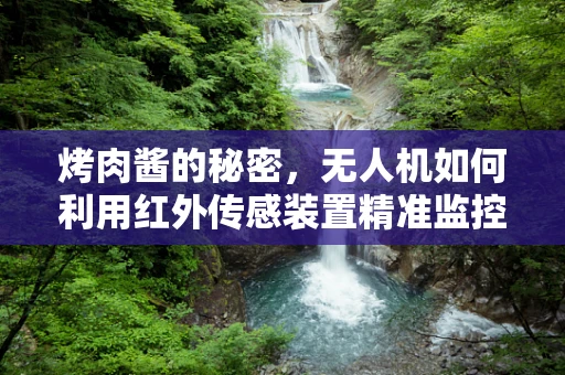 烤肉酱的秘密，无人机如何利用红外传感装置精准监控烧烤温度？
