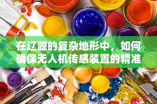 在辽源的复杂地形中，如何确保无人机传感装置的精准定位？
