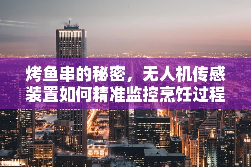 烤鱼串的秘密，无人机传感装置如何精准监控烹饪过程？