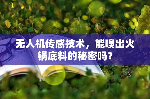 无人机传感技术，能嗅出火锅底料的秘密吗？