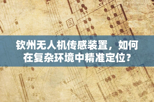 钦州无人机传感装置，如何在复杂环境中精准定位？